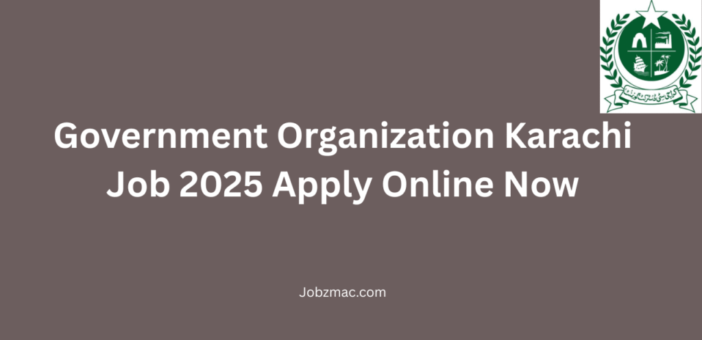 Government Organization Karachi Job 2025 Apply Online Now