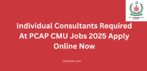 Individual Consultants Required At PCAP CMU Jobs 2025 Apply Online Now